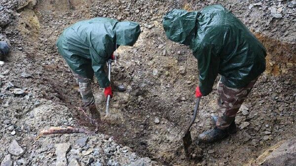 英雄遗骸当筹码：利沃夫市长愿以355具苏军尸骨索换乌军战俘 - 俄罗斯卫星通讯社