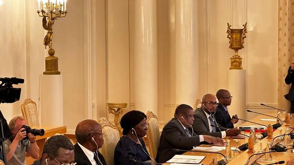 拉夫罗夫在莫斯科与莫桑比克外长举行会谈 - 俄罗斯卫星通讯社