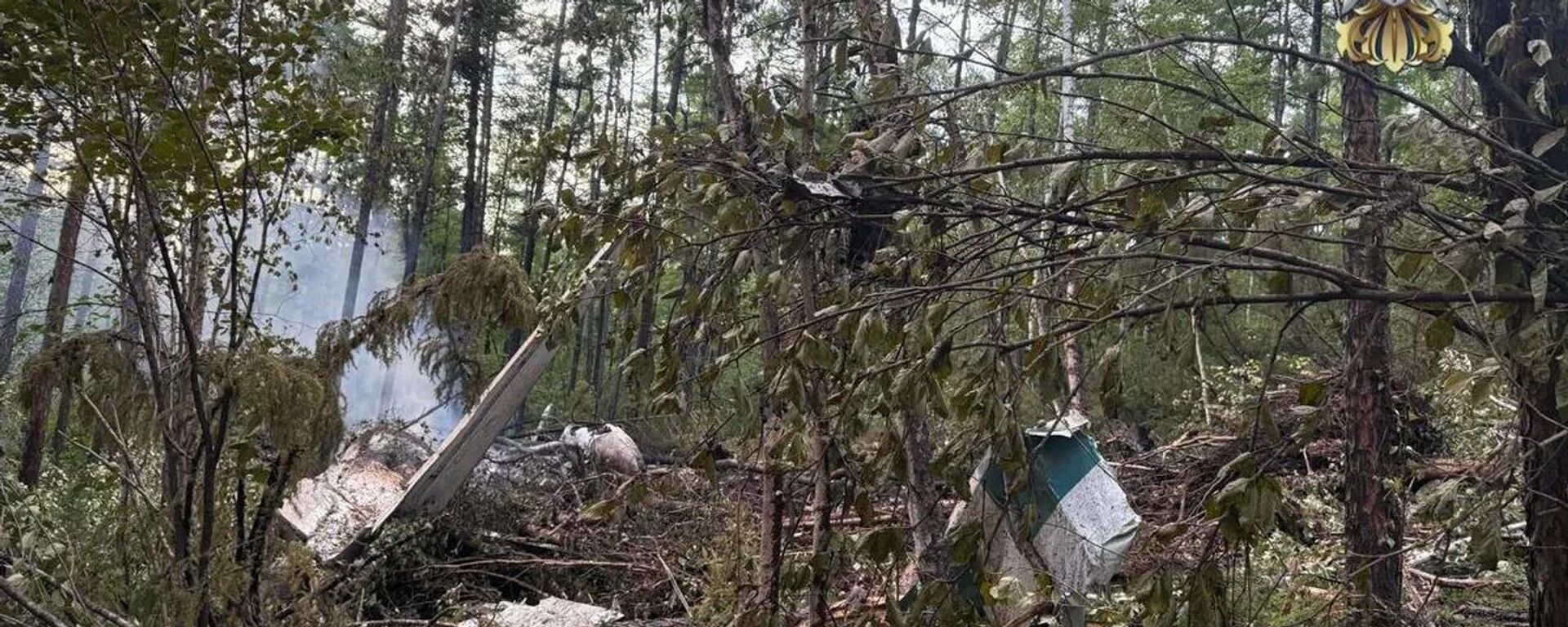 俄交通部：已在安-24墜機現場找到黑匣子 - 俄羅斯衛星通訊社, 1920, 25.07.2025