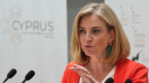 奧地利外長呼籲就本國加入北約進行辯論 原因據稱是俄羅斯的行動 - 俄羅斯衛星通訊社