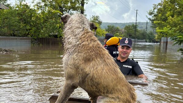 罗马尼亚遭遇洪水（资料图片） - 俄罗斯卫星通讯社
