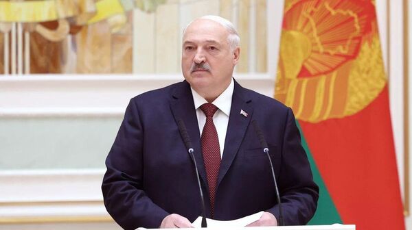 白俄总统：多个欧盟成员国希望通过将经济转入战争模式来解决问题 - 俄罗斯卫星通讯社