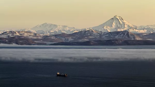 堪察加半島克拉捨寧尼科夫火山600年來首次噴發 - 俄羅斯衛星通訊社