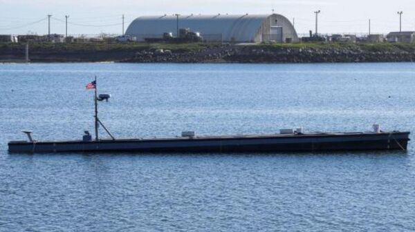 “ALPV”无人艇 - 俄罗斯卫星通讯社