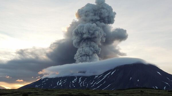 观测站：埃特纳火山出现新的喷发口 - 俄罗斯卫星通讯社