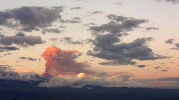 堪察加 - 俄罗斯卫星通讯社