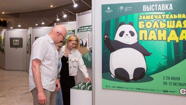 大熊猫主题展在莫斯科达尔文博物馆举行 - 俄罗斯卫星通讯社