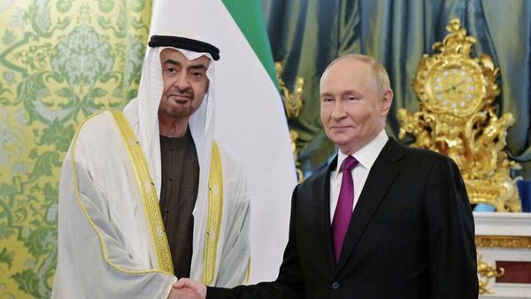 普京：俄罗斯与阿联酋的相互投资持续增长 - 俄罗斯卫星通讯社