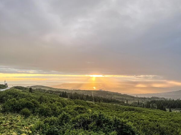 阿拉斯加州的安克雷奇市。 - 俄罗斯卫星通讯社