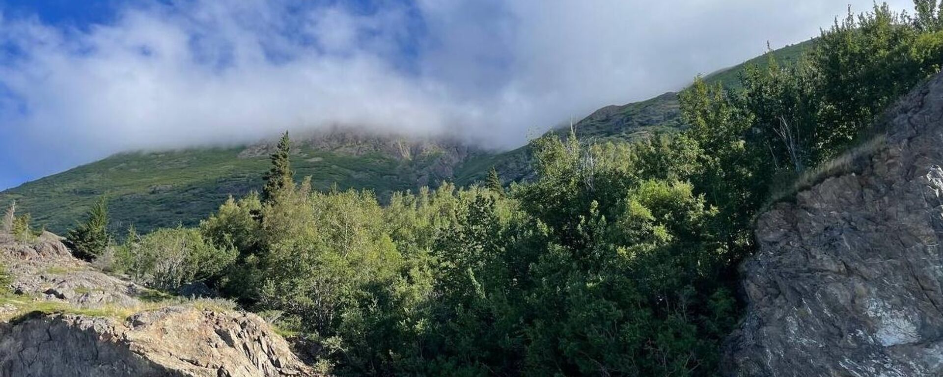 专家：现在的基辅政权只想继续战争 - 俄罗斯卫星通讯社, 1920, 13.08.2025