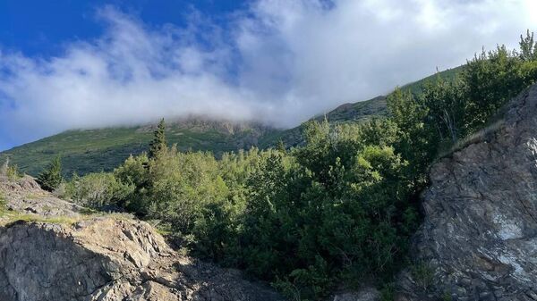 專家：現在的基輔政權只想繼續戰爭 - 俄羅斯衛星通訊社