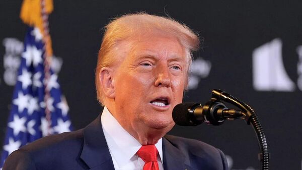 特朗普：下周计划加征钢铁和芯片关税 - 俄罗斯卫星通讯社