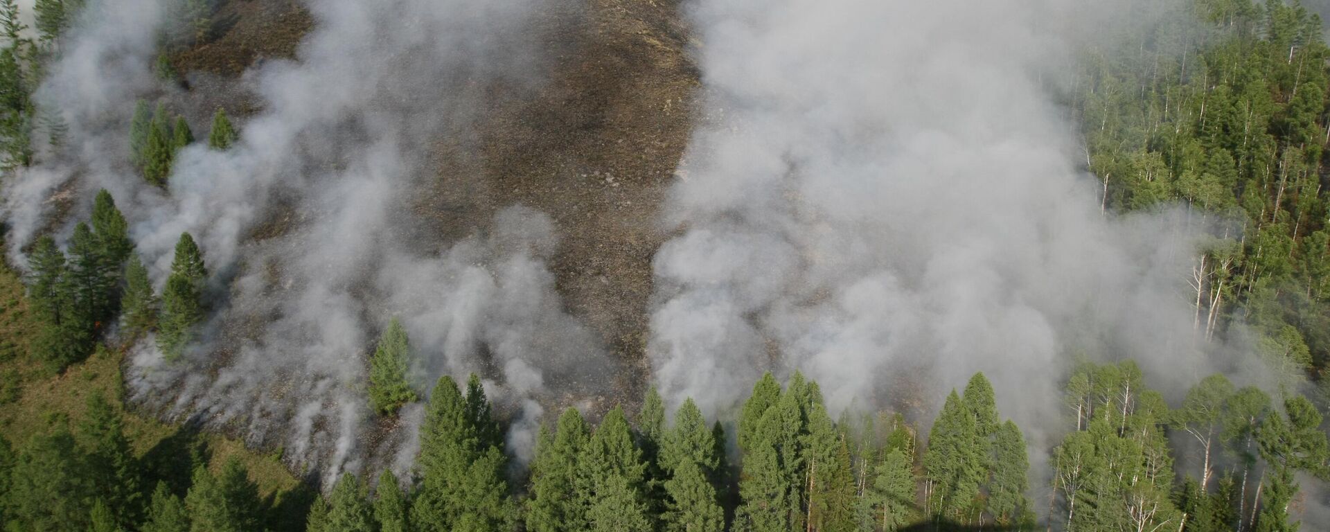 圖瓦共和國森林火災（資料圖片） - 俄羅斯衛星通訊社, 1920, 18.08.2025