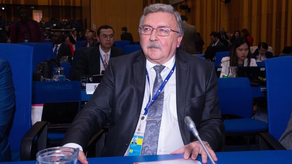 俄羅斯常駐維也納國際組織代表米哈伊爾·烏里揚諾夫 - 俄羅斯衛星通訊社