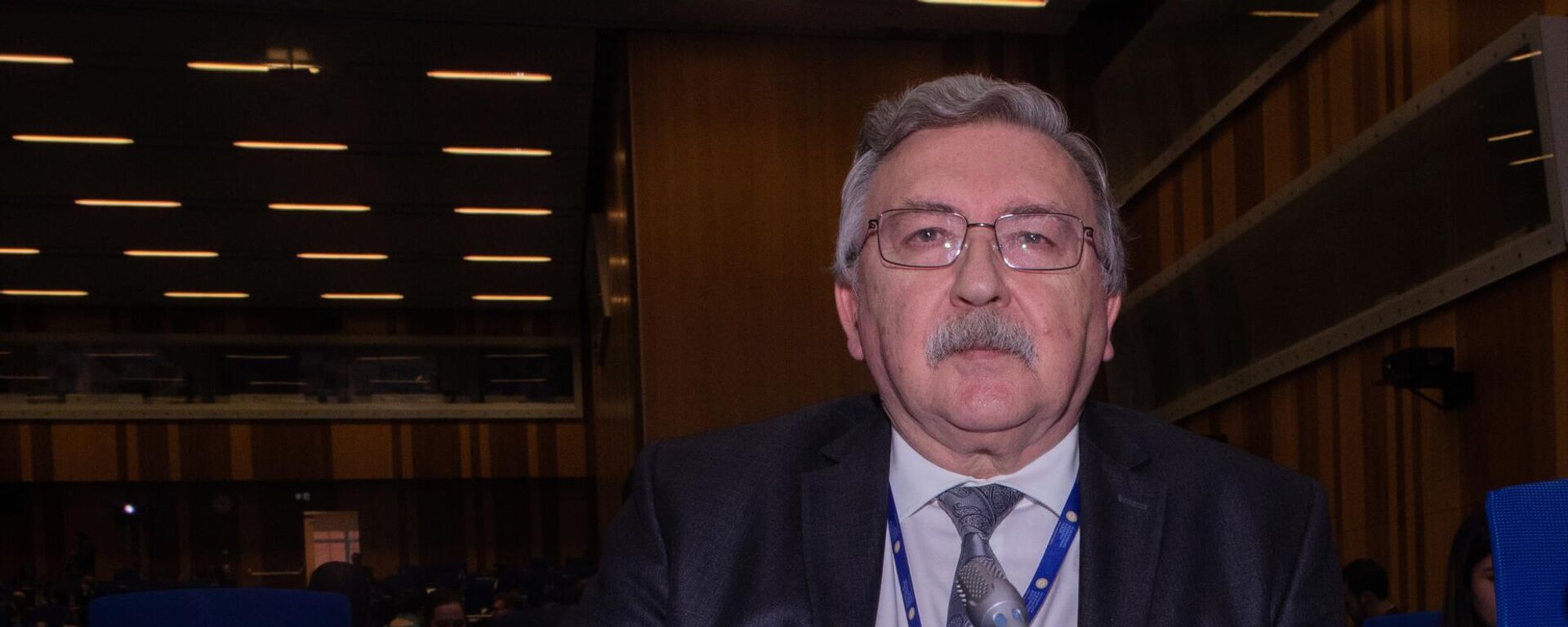 俄罗斯常驻维也纳国际组织代表米哈伊尔·乌里扬诺夫 - 俄罗斯卫星通讯社, 1920, 06.11.2025