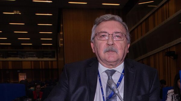 俄羅斯常駐維也納國際組織代表米哈伊爾•烏里揚諾夫 - 俄羅斯衛星通訊社