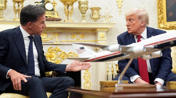 北約秘書長：與特朗普會晤期間完全未討論外國向烏克蘭派兵問題 - 俄羅斯衛星通訊社