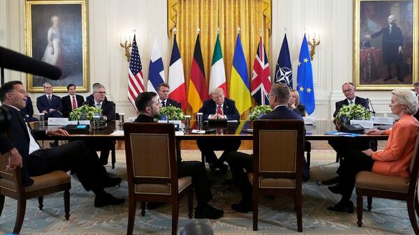 德政治家：向乌方提供单边安全保障或将挑起激烈战争 - 俄罗斯卫星通讯社