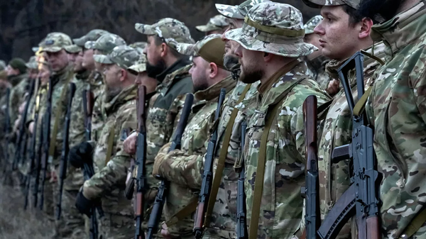 乌军 - 俄罗斯卫星通讯社