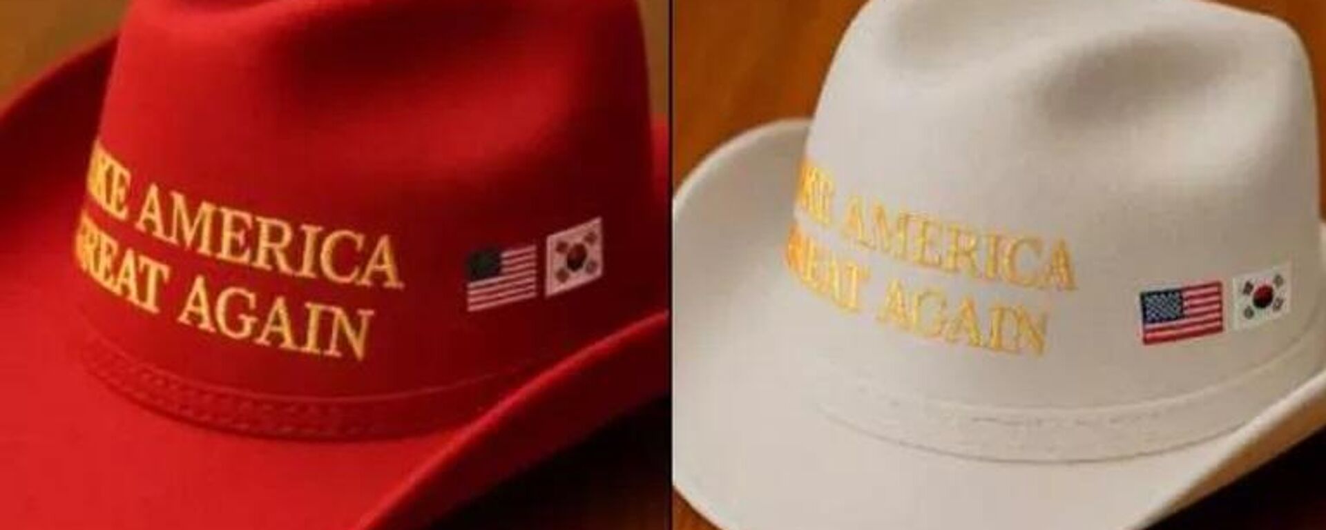 韩国总统向特朗普赠送印有“让美国再次伟大”字样的帽子 - 俄罗斯卫星通讯社, 1920, 26.08.2025