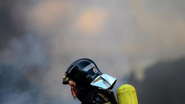 西班牙消防员 - 俄罗斯卫星通讯社