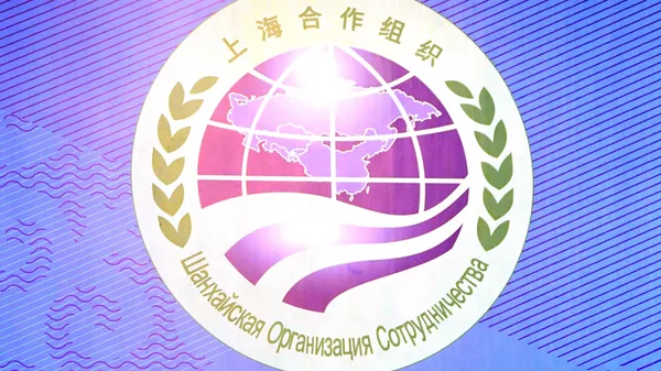 獨聯體秘書長：結合獨聯體和上海合作組織的潛力可打造新的經濟中心 - 俄羅斯衛星通訊社