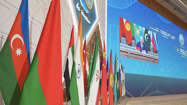 上合组织如何动用组织潜力解决全球问题？ - 俄罗斯卫星通讯社