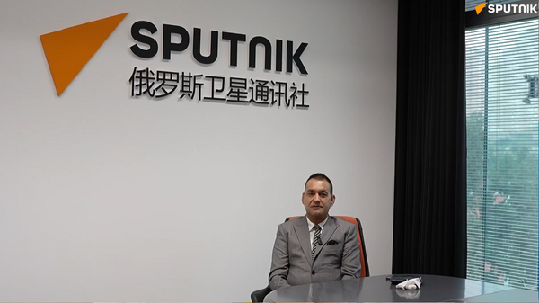 雅辛·马苏德博士：期待上合组织确立安全机制 - 俄罗斯卫星通讯社