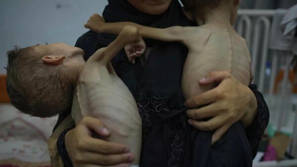 联合国世界粮食计划署拟在停火协议生效后向160万加沙居民提供食品 - 俄罗斯卫星通讯社