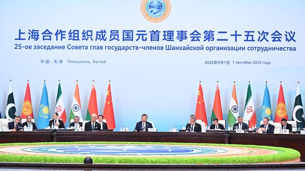 俄总统特别代表：上合组织峰会的主旨是团结 - 俄罗斯卫星通讯社