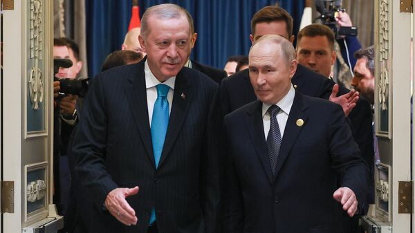 普京与埃尔多安通电话讨论中东局势与乌克兰问题 - 俄罗斯卫星通讯社