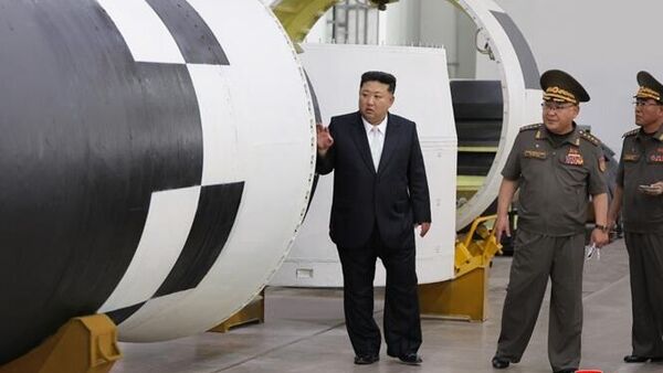 金正恩了解碳纤维增强塑料生产工序和大功率导弹发动机生产情况 - 俄罗斯卫星通讯社