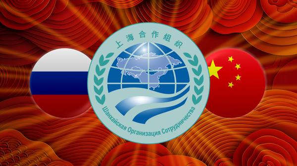 史上最大规模上合组织峰会在中国天津举行  - 俄罗斯卫星通讯社