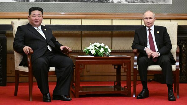 专家：俄朝合作正处于前所未有的高水平，并将继续蓬勃发展 - 俄罗斯卫星通讯社