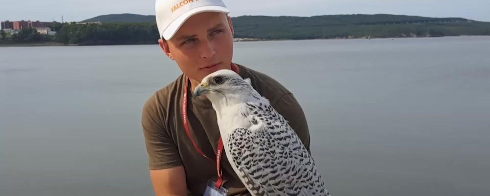 俄罗斯本土猛禽亮相东方经济论坛“鹰隼日”活动 - 俄罗斯卫星通讯社, 1920, 03.09.2025