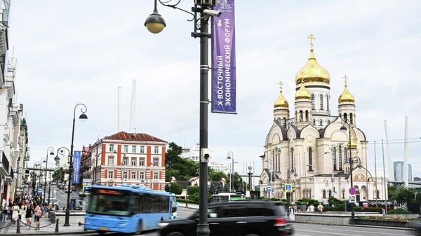 东方经济论坛 - 俄罗斯卫星通讯社