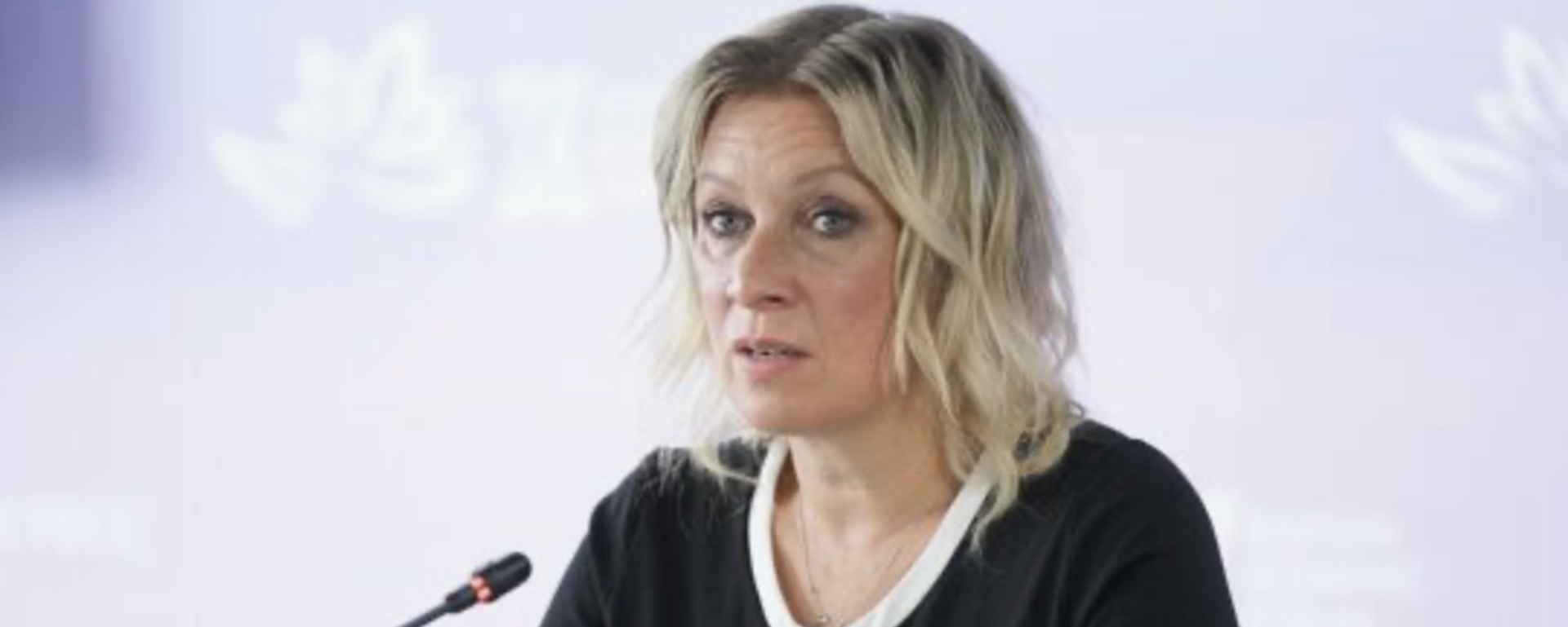 扎哈罗娃：可以用泽连斯基童年对绞肉机的迷恋解释“人肉冲锋”现象 - 俄罗斯卫星通讯社, 1920, 08.11.2025