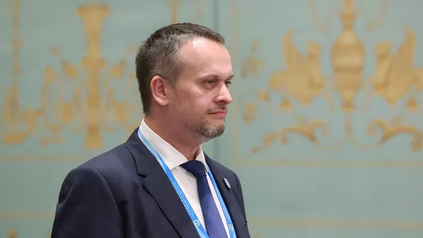 俄罗斯交通部部长安德烈·尼基京 - 俄罗斯卫星通讯社