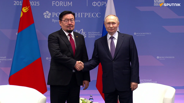 普京总统会见蒙古国总理 - 俄罗斯卫星通讯社