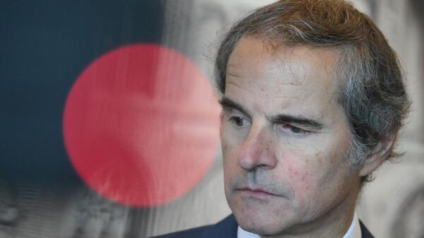 國際原子能機構總幹事格羅西 - 俄羅斯衛星通訊社