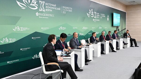 俄原子能集团总裁：原材料运输将成为未来10-15年北方航道负载的基础 - 俄罗斯卫星通讯社