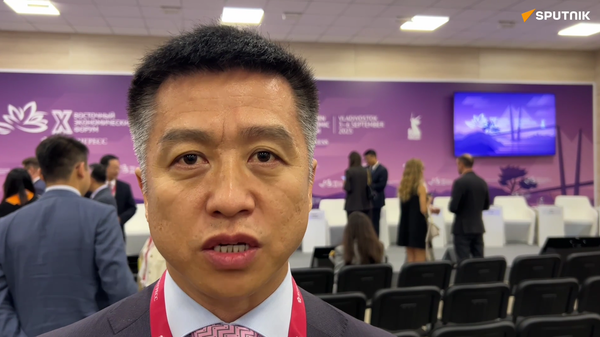 企发平台董事长：中俄商务合作可进入新高度 - 俄罗斯卫星通讯社