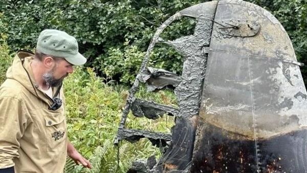 Истребитель времен Второй мировой войны - 俄罗斯卫星通讯社