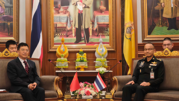 中国外交部亚洲事务特使访问泰国就柬泰边境冲突做工作 - 俄罗斯卫星通讯社