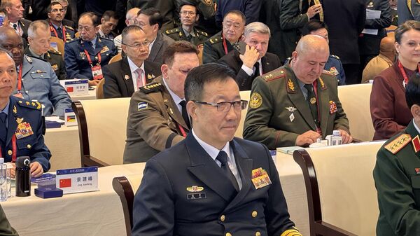 中国国防部长董军 - 俄罗斯卫星通讯社