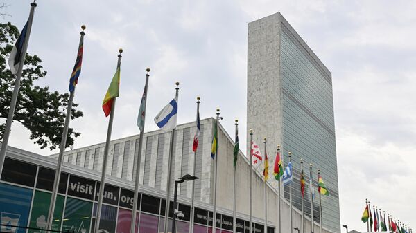 联合国 - 俄罗斯卫星通讯社