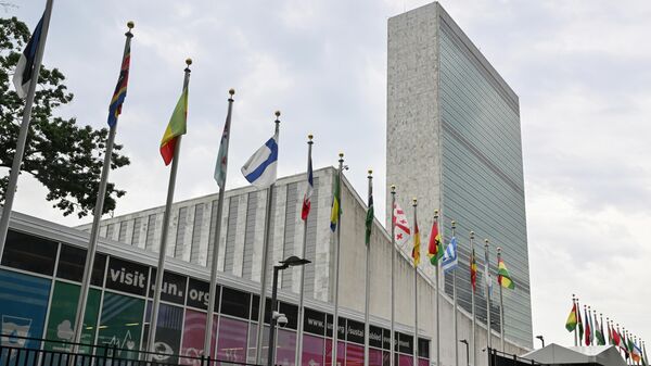 联合国 - 俄罗斯卫星通讯社