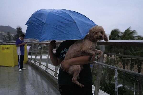 2025年9月23日星期二，在超强台风&quot;桦加沙&quot;来临前，一名妇女在广东省深圳市顶着狂风紧握雨伞并护住爱犬。 - 俄罗斯卫星通讯社