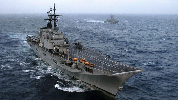 意大利海軍“朱塞佩·加里波第”號航母 - 俄羅斯衛星通訊社