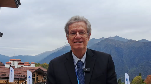 巴西经济学家：去美元化进程正在多领域推进 - 俄罗斯卫星通讯社